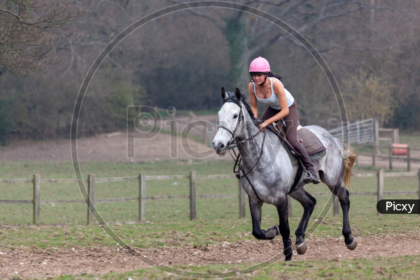 Horse Riding Near Ashurst Wood West Sussex