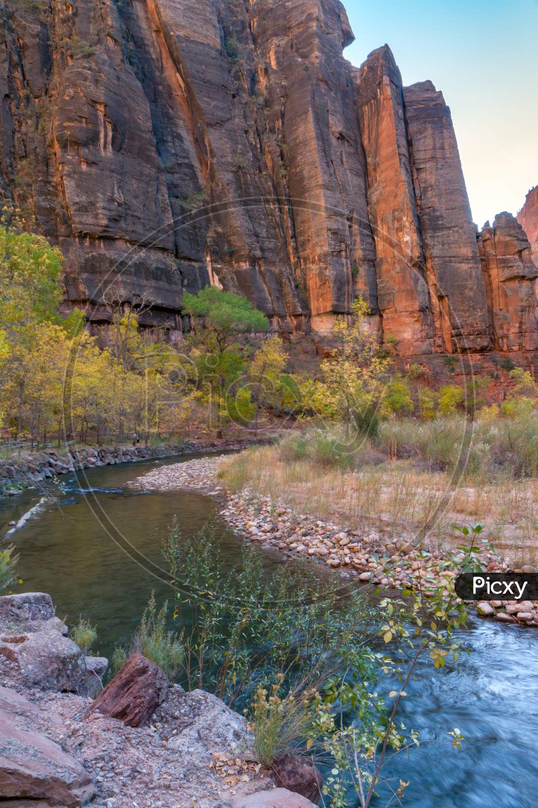 Autumn In The  Virgin River Valley In Zion