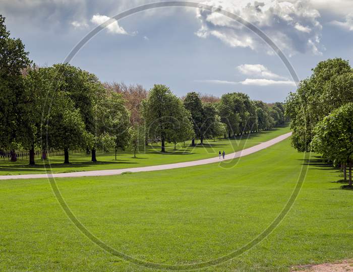 The Long Walk At Windsor Great Park