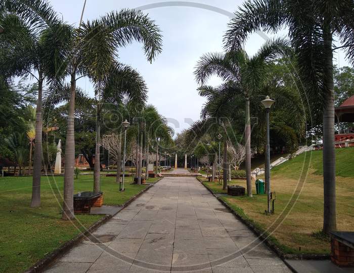 Stone paved pathway and palm trees, Thiruvananthapuram Kerala