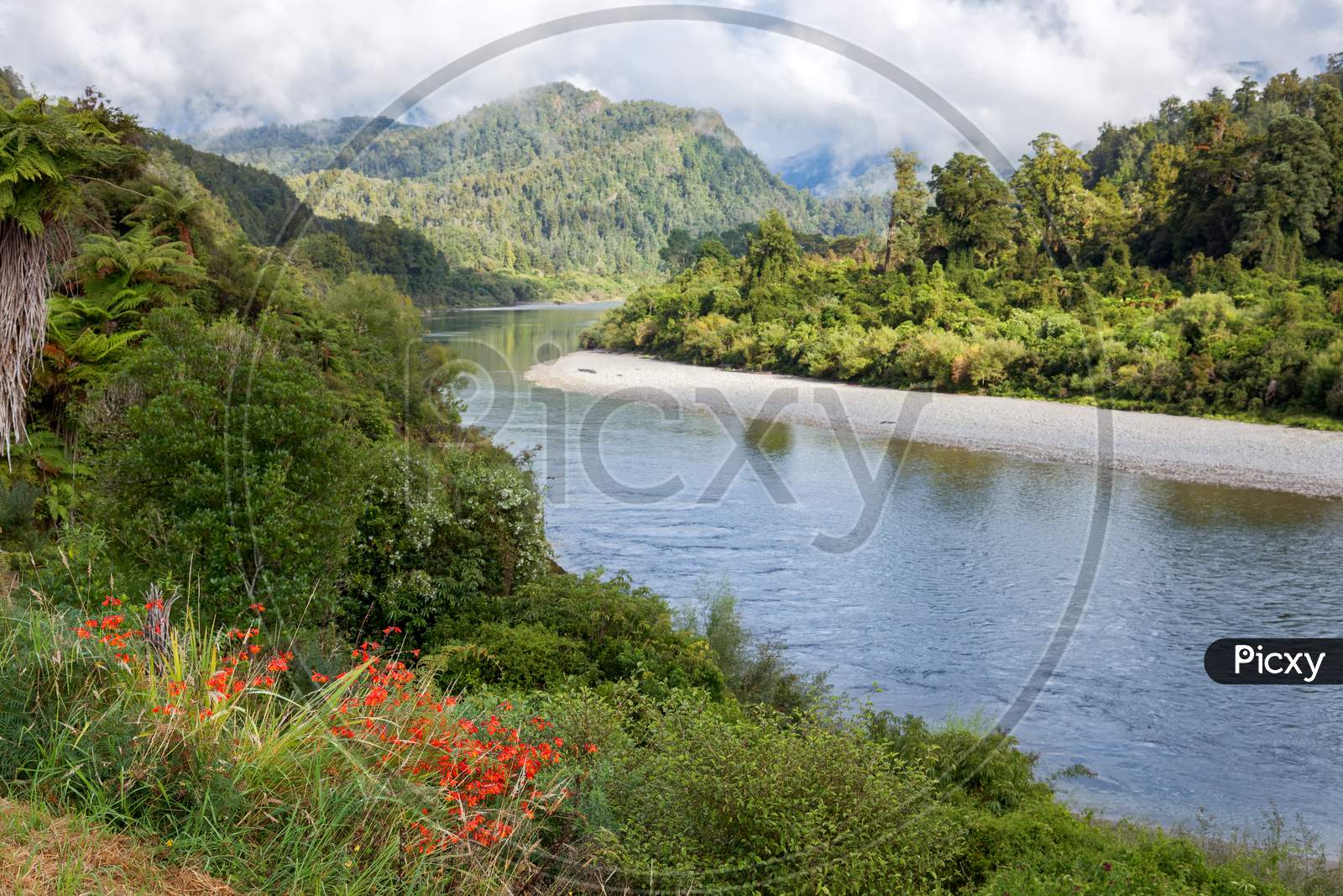 View Of The Meandering Buller River In New Zealand