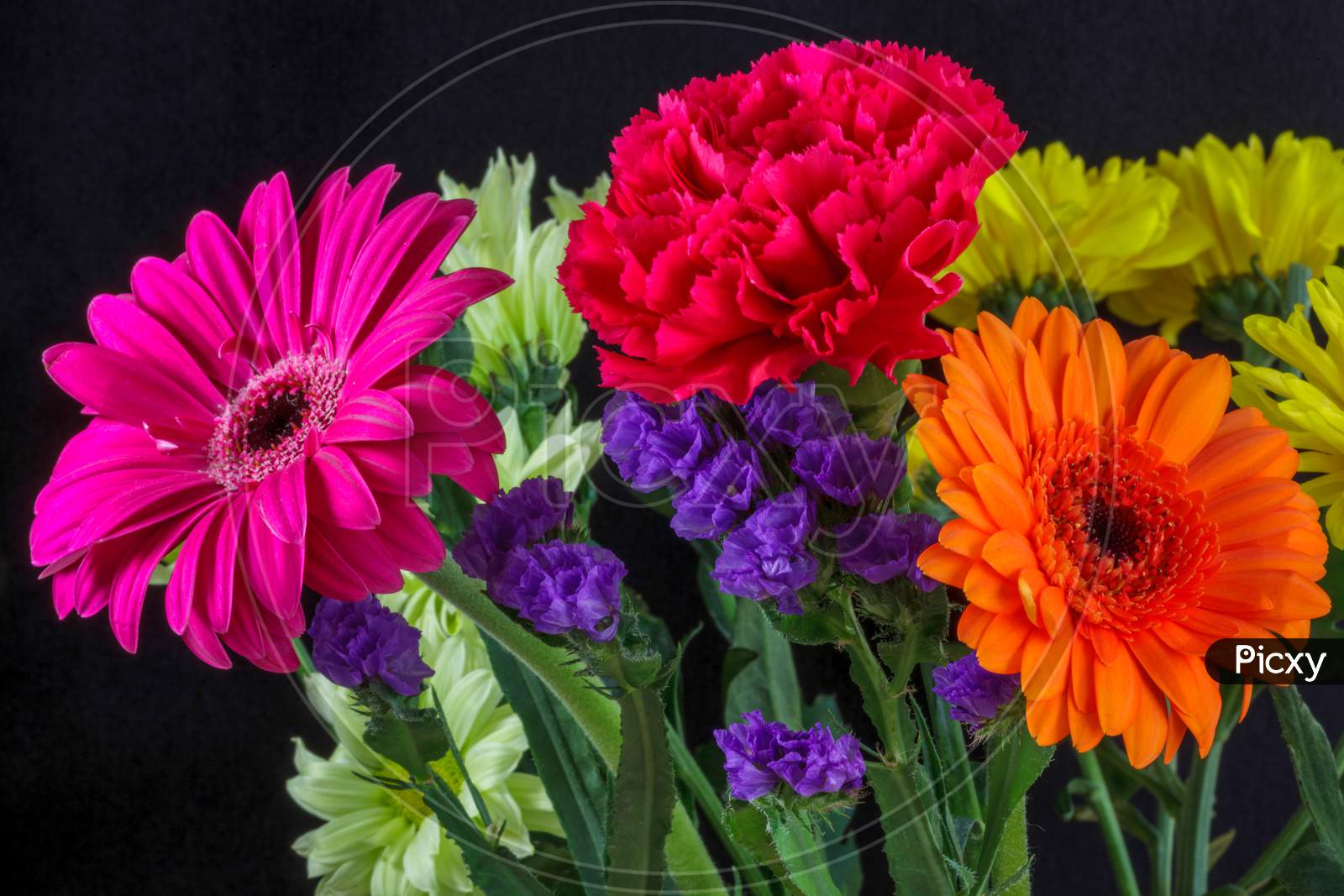 Bunch Of Vivid Coloured Flowers