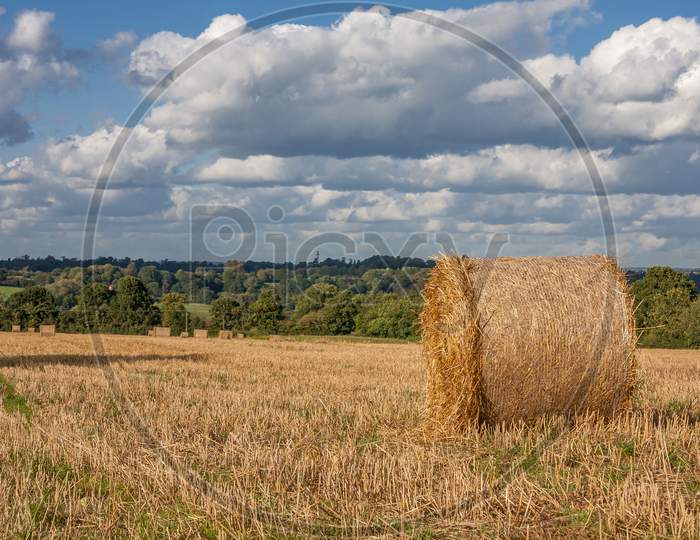 Hay Bales In A Field After The Harvest