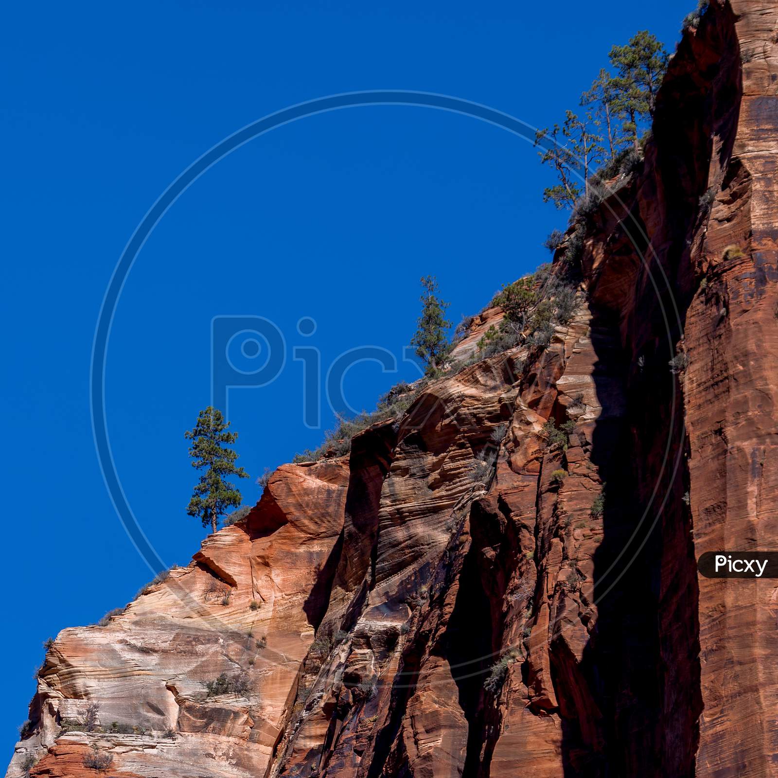 Red Mountain In Zion National Park In Utah
