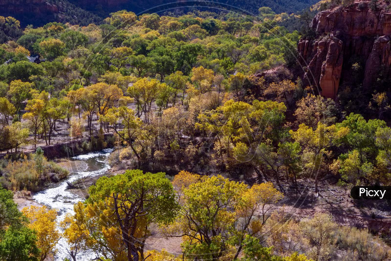 Virgin River Valley In Zion National Park