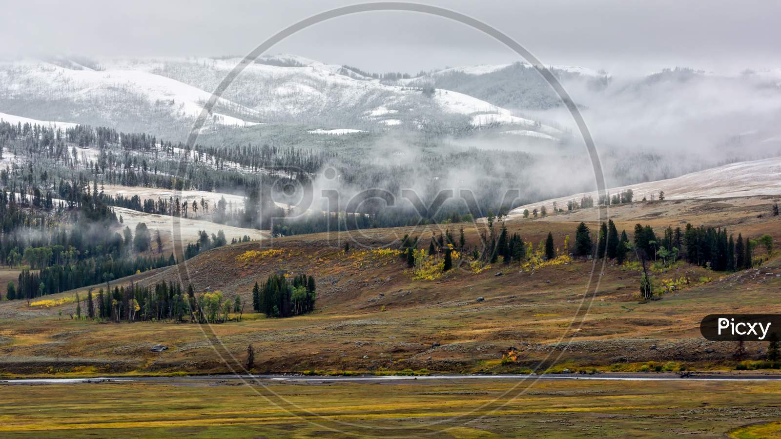 Countryside Of Yellowstone National Park