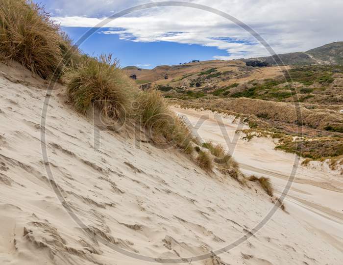 Sand Dunes At Sandfly Bay South Island New Zealand