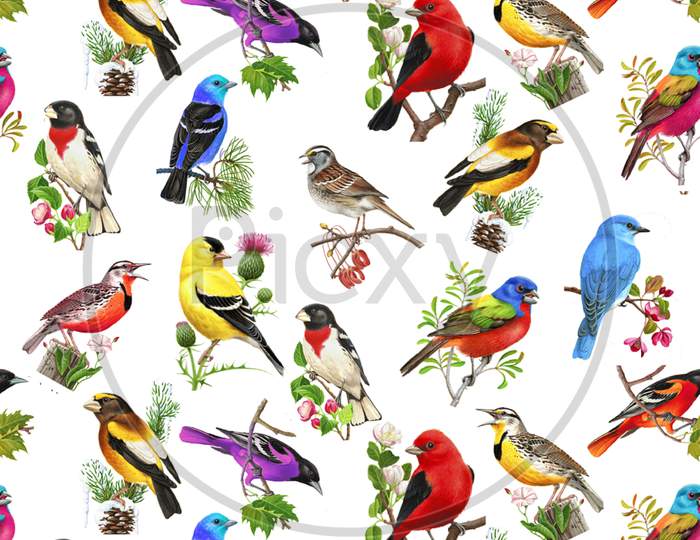 Colorful Birds Digital Design Background Allover