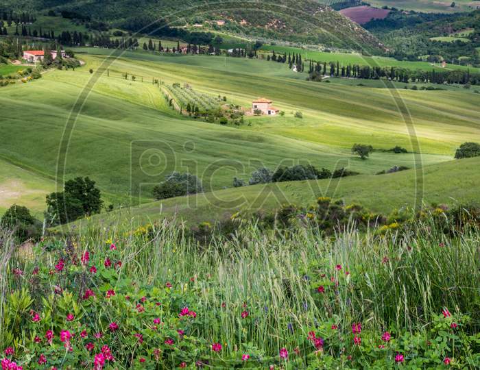 Farm In Val D'Orcia Tuscany