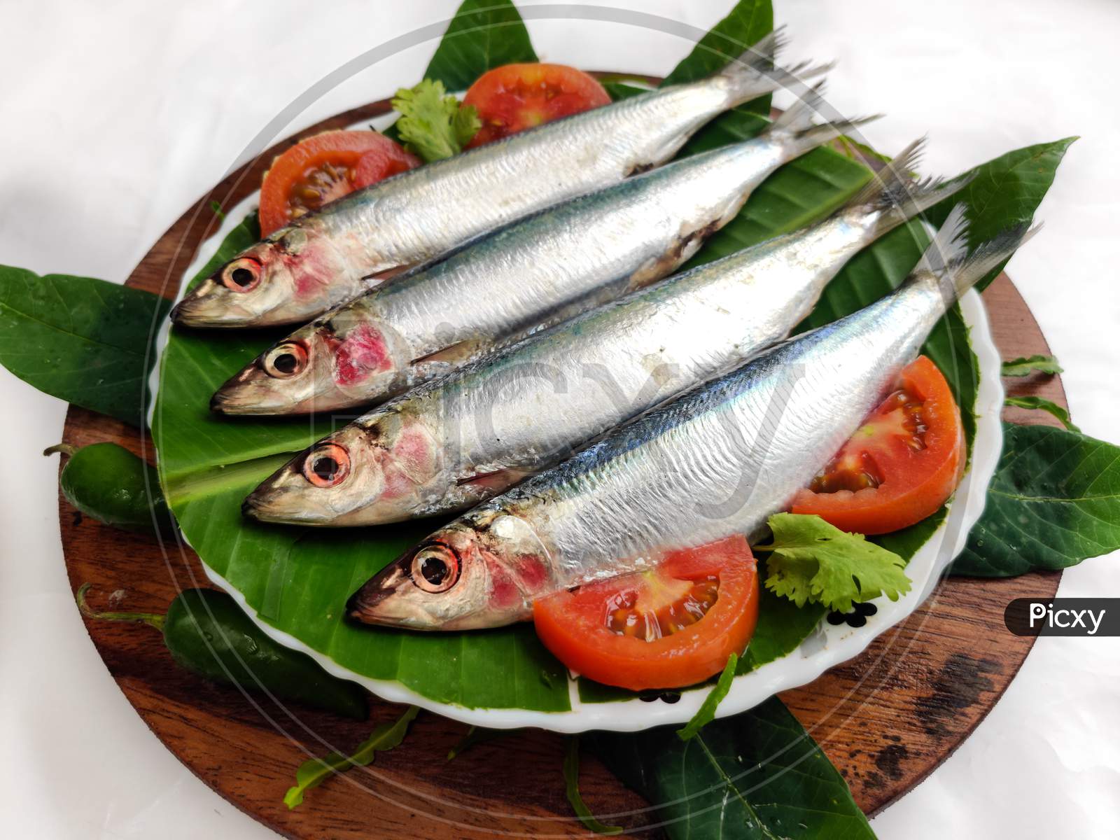 Fresh Slender Rainbow Sardine Decorated With Vegetables And Herbs On A Wooden Pad.Selective Focus.