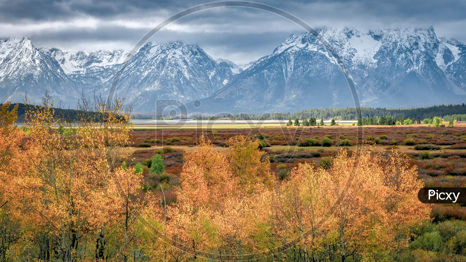 Autumn In The Grand Tetons