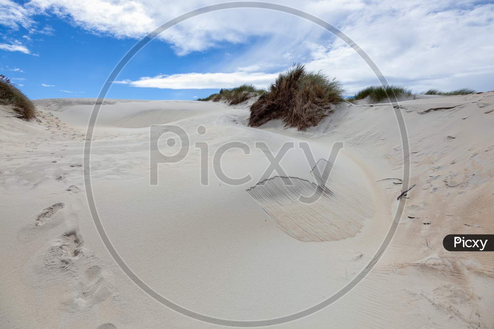 Sand Dunes At Sandfly Bay South Island New Zealand