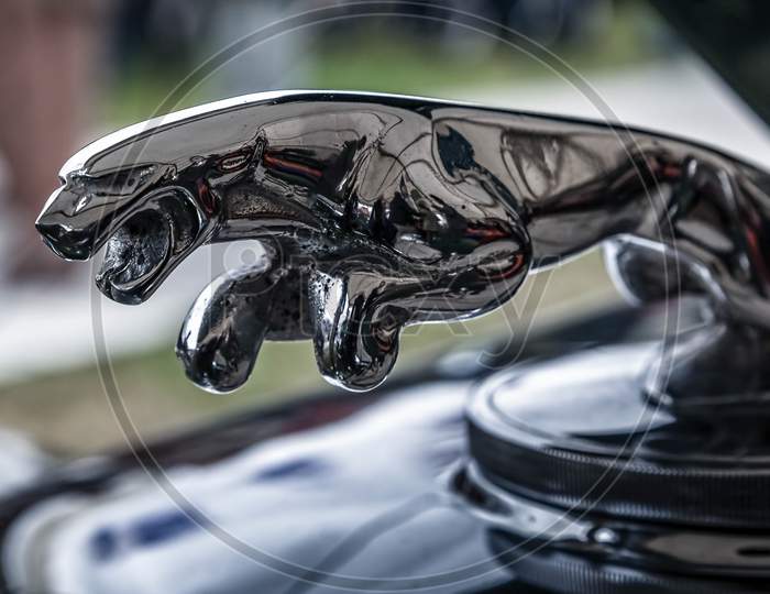 Close-Up Of An Old Jaguar Automobile Emblem