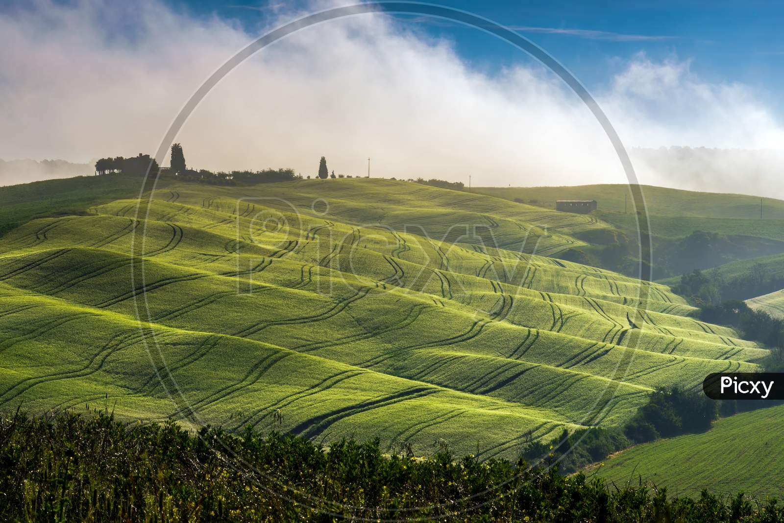 Pienza, Tuscany/Italy - May 22 : Mist Rolling Through Val D'Orcia In Tuscany On May 22, 2013