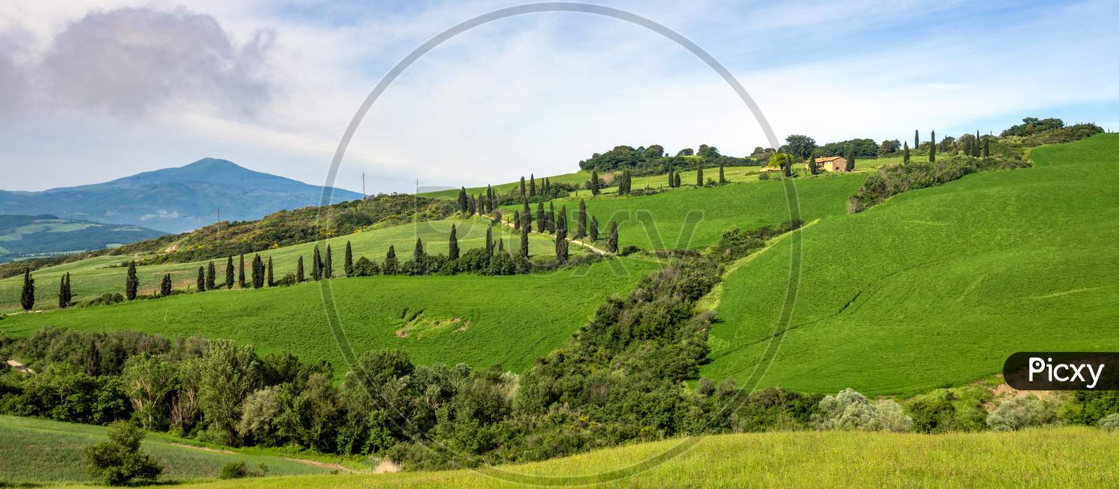 Val D'Orcia, Tuscany/Italy - May 22 : Scenery Of Val D'Orcia In Tuscany On May 22, 2013