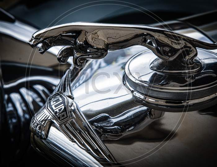 Close-Up Of An Old Jaguar Automobile Emblem