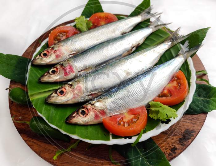 Fresh Slender Rainbow Sardine Decorated With Vegetables And Herbs On A Wooden Pad.Selective Focus.