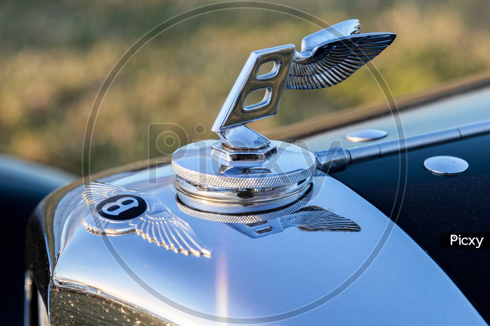 Close-Up Of A Bentley Emblem