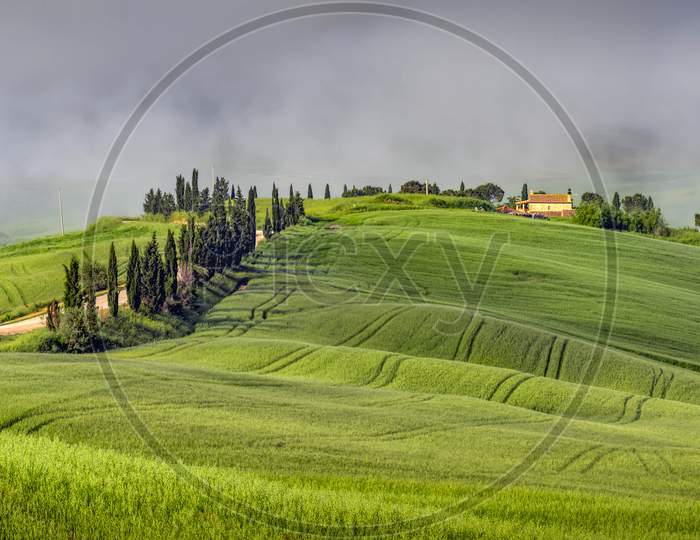 Val D'Orcia, Tuscany/Italy - May 22 : Scenery Of Val D'Orcia In Tuscany On May 22, 2013