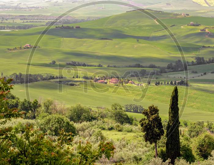 Countryside Of Val D'Orcia
