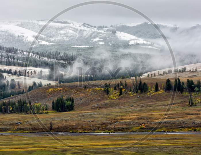 Countryside Of Yellowstone National Park