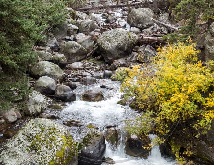 Rapids In Yellowstone
