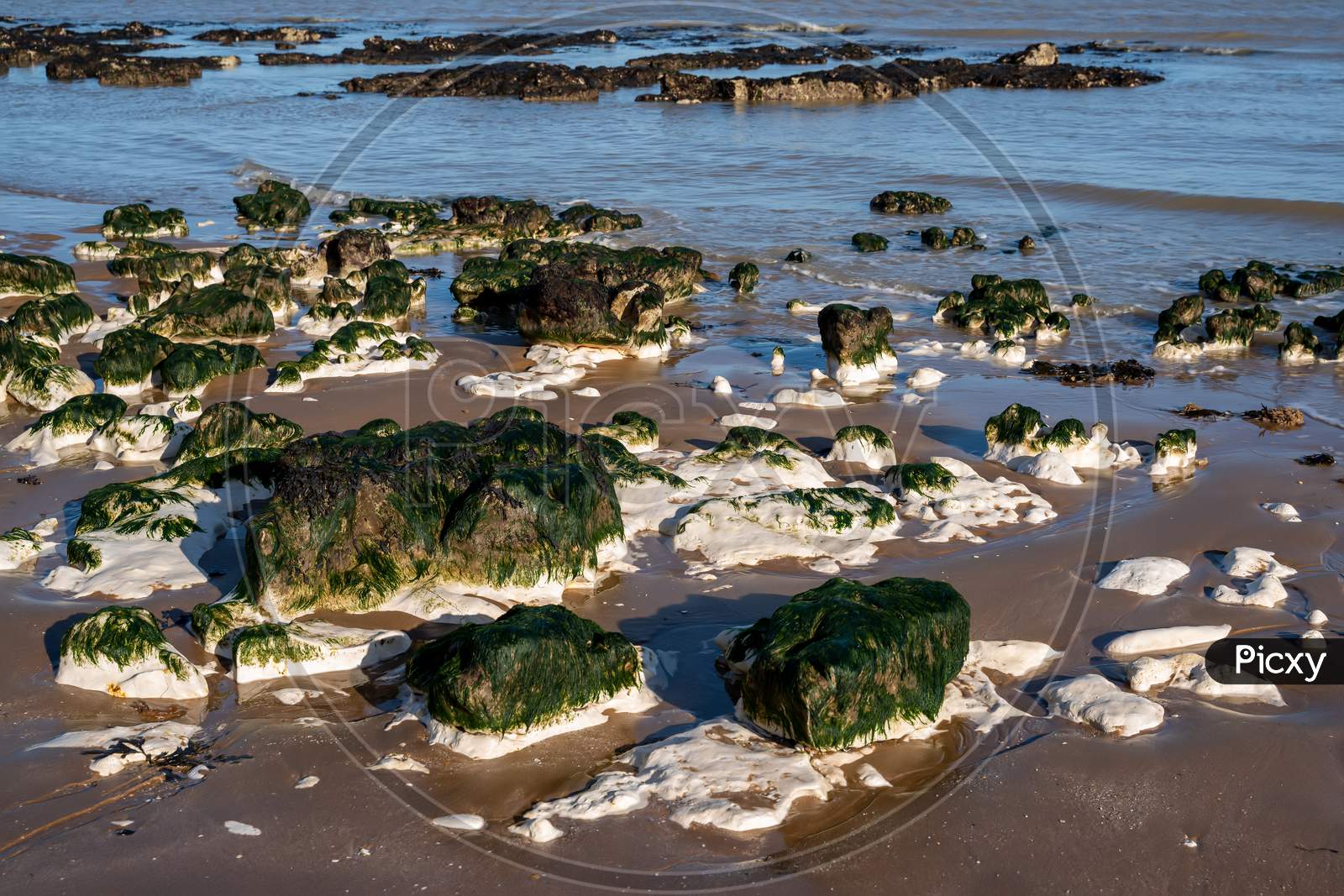 Chalk Rocks Exposed At Low Tide In Botany Bay Near Broadstairs In Kent