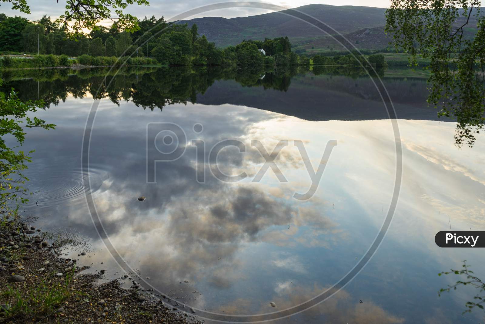 Reflections In Loch Alvie