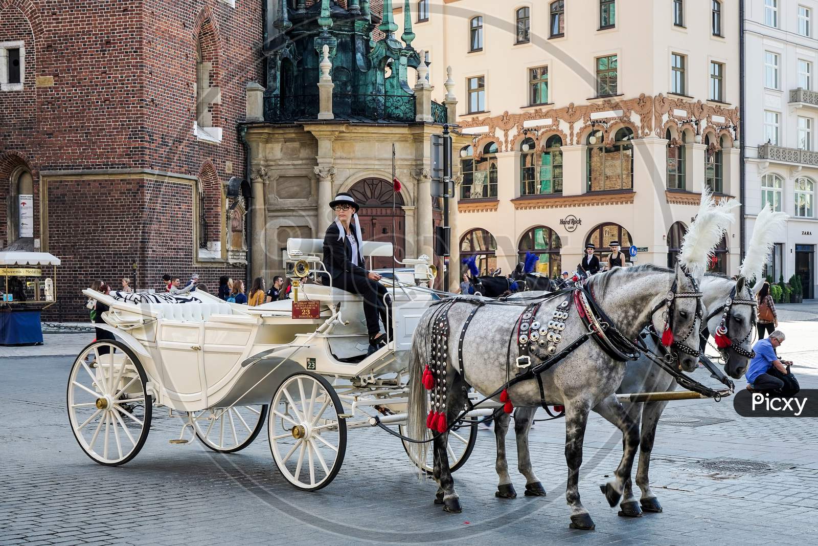 Carriage And Horses In Krakow