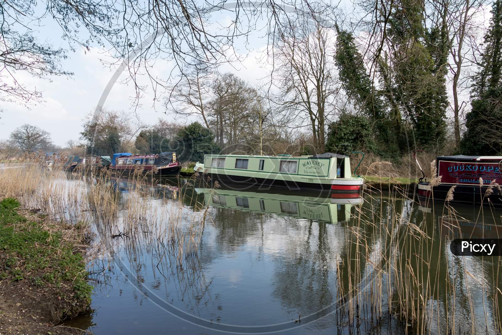 Narrow Boats On The River Wey Navigations Canal