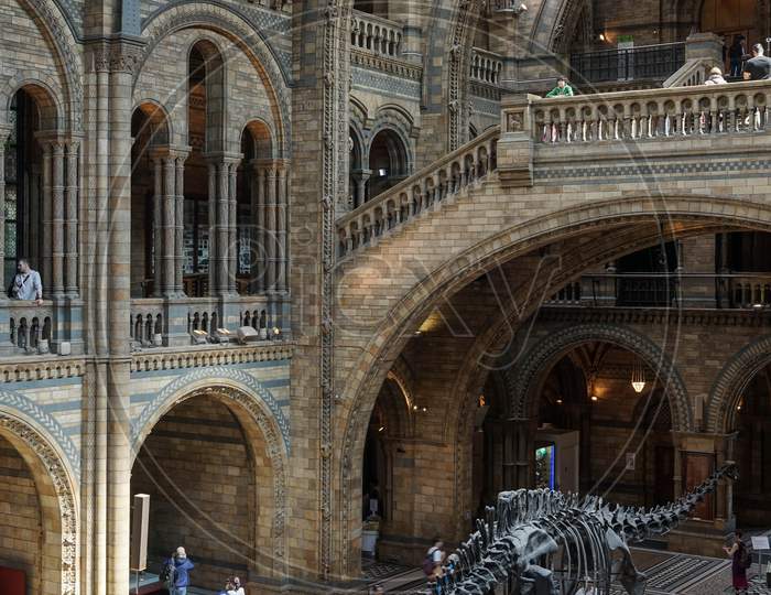 People Exploring  The National History Museum In London