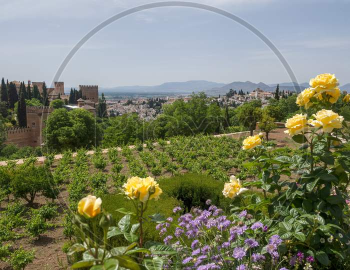 Granada, Andalucia/Spain - May 7 : View Of The Alhambra Palace Gardens In Granada Andalucia Spain On May 7, 2014