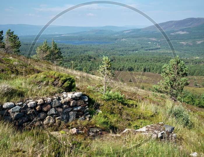 View From The Cairngorms Towards Loch Morlich