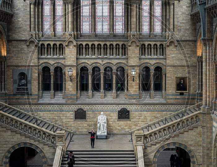 Woman Taking A Photograph In The Natural History Museum In London