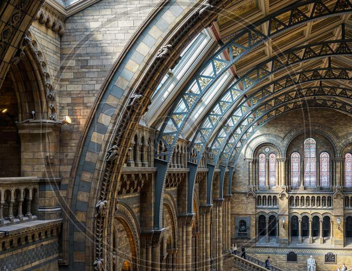 Ceiling Detail Of The Natural History Museum In London