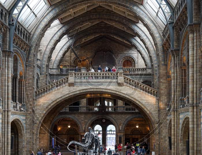 People Exploring  The National History Museum In London