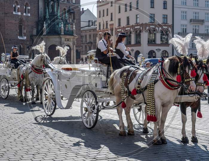 Carriage And Horses In Krakow