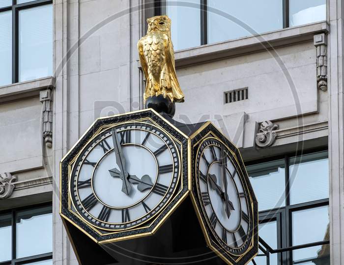 Golden Owl On Top  Of A Clock