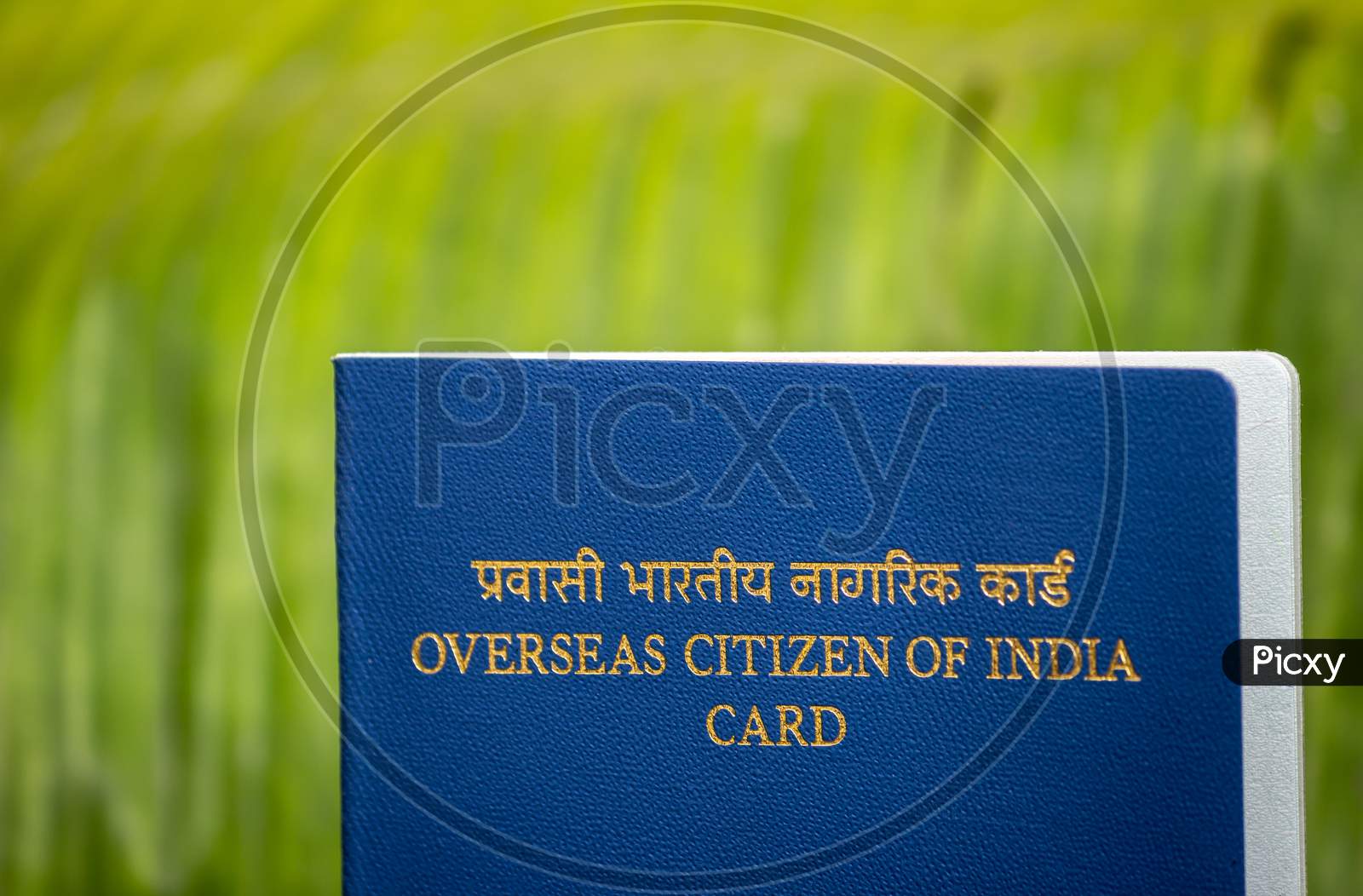 View Of Overseas Citizen Of India Card Issued To Non Resident Indians. Travel Document,