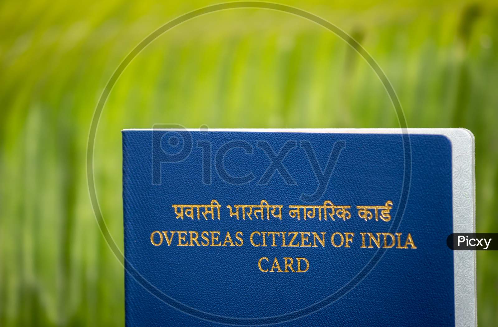 image-of-view-of-overseas-citizen-of-india-card-issued-to-non-resident