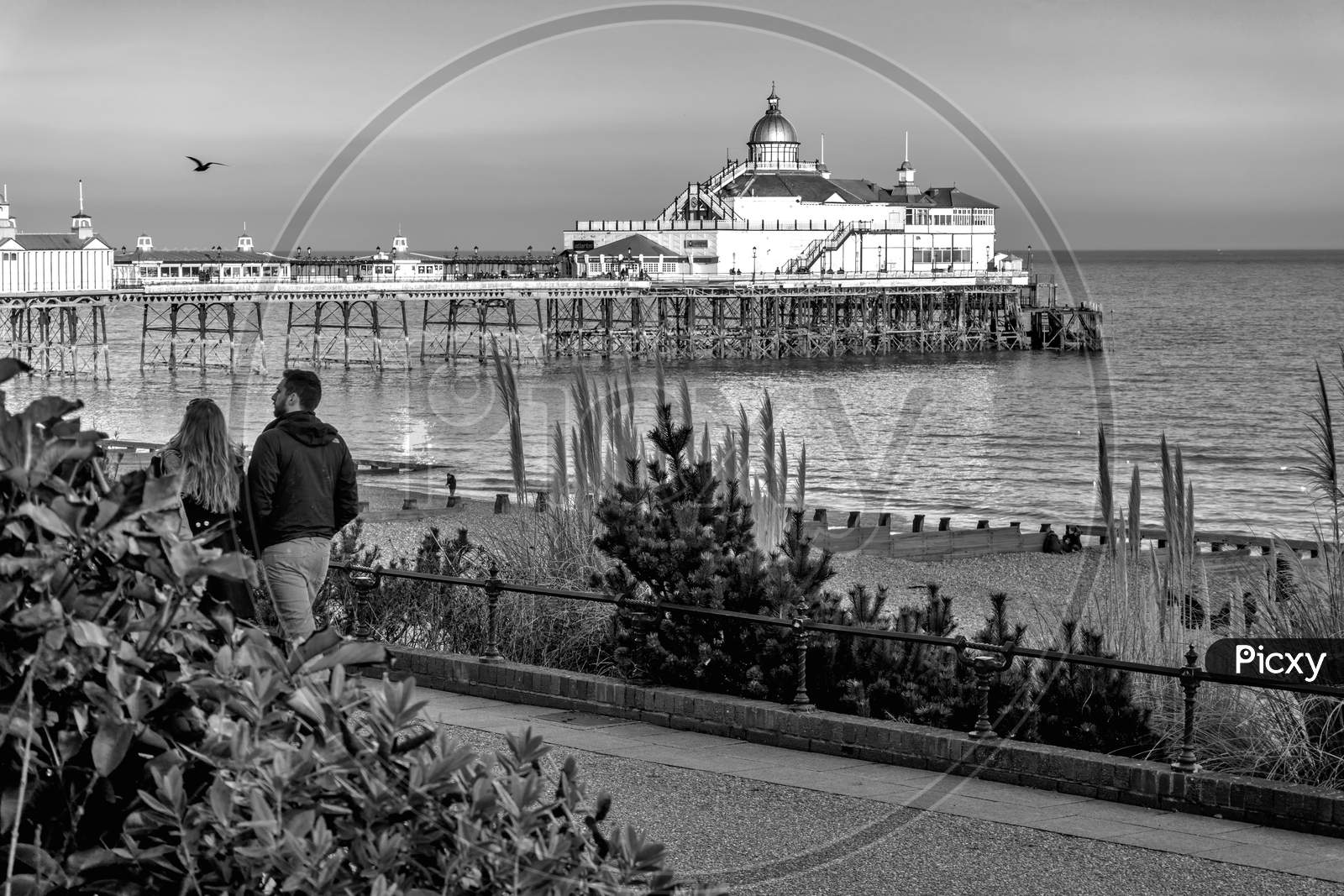 View Of Eastbourne Pier