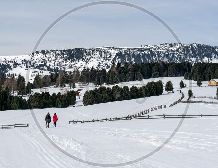 Couple Walking On The Alp In Rinderplatz Pasture In South Tyrol Italy