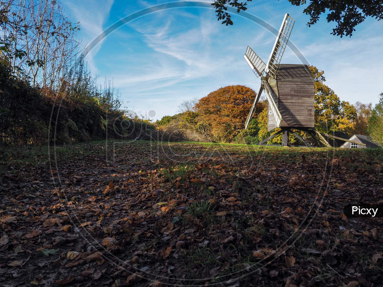 View Of Nutley Windmill In The Ashdown Forest