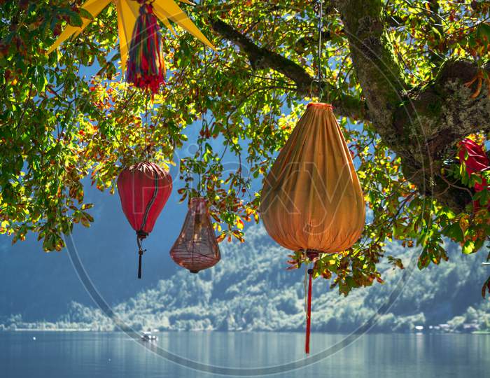 Chinese Lanterns Hanging From A Tree In Hallstatt