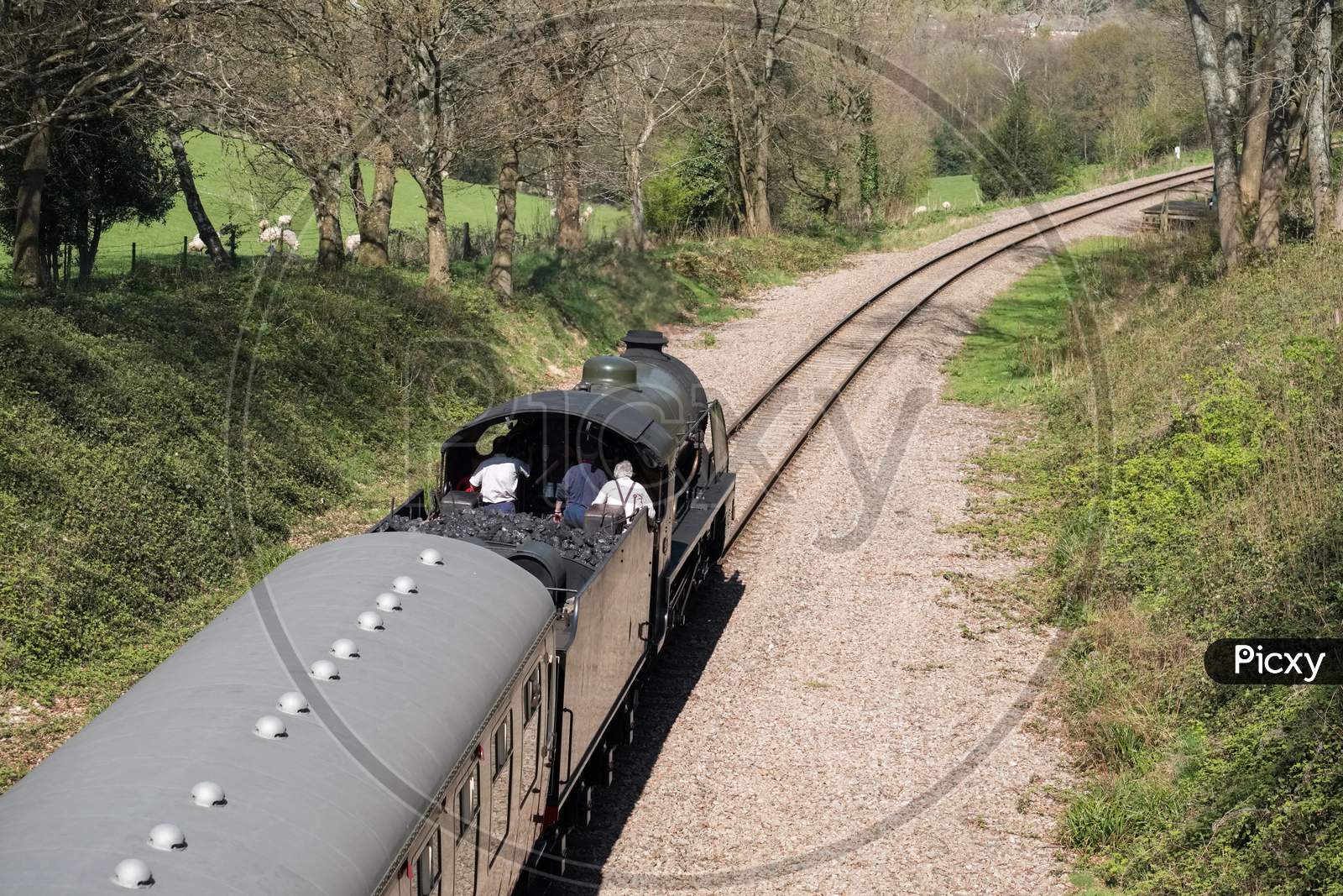 Steam Train On The Bluebell Railway Line In Sussex