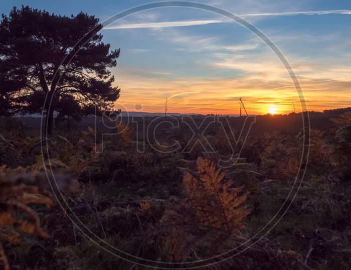 Sunset Over The Ashdown Forest In Sussex