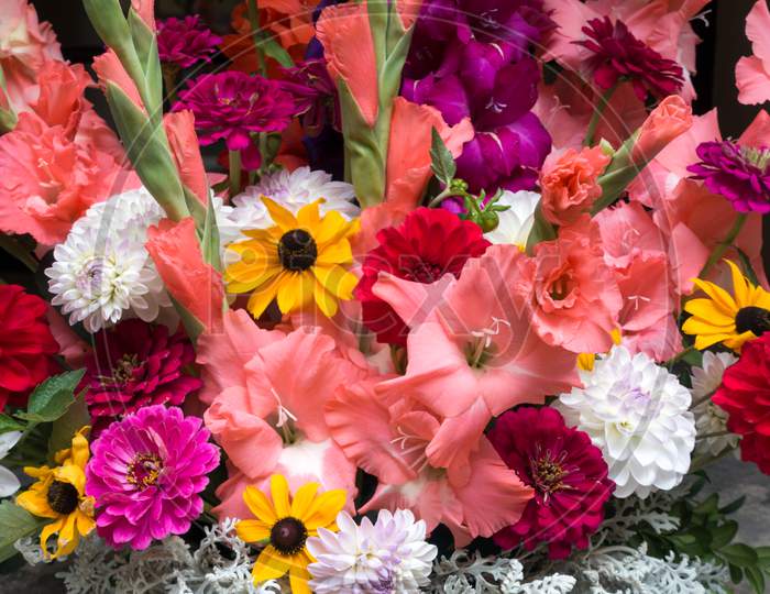 Display Of Colourful Cut Flowers