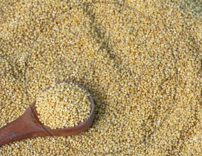 View Of Foxtail Millet (Also Known As Italian Millet) Which Is A Healthy Food For Heart