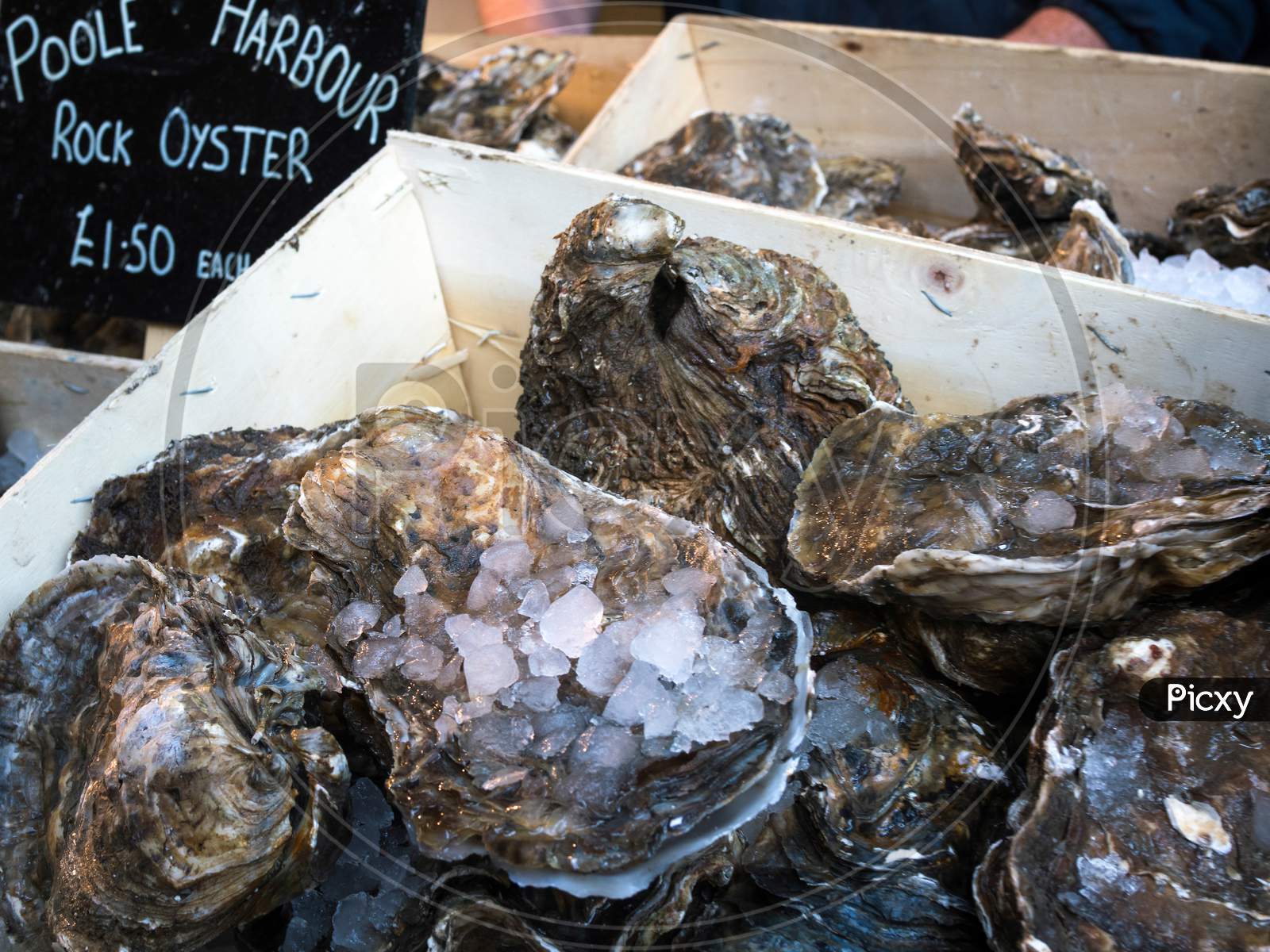 Oysters For Sale In Borough Market