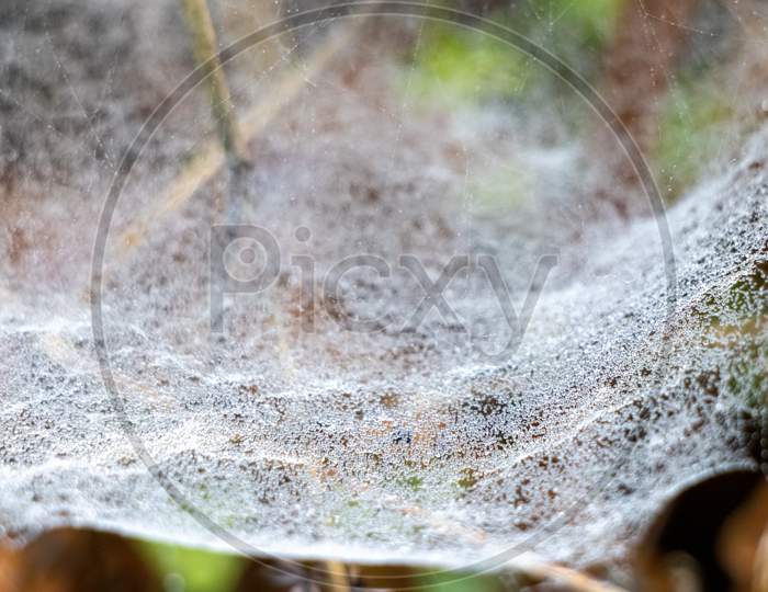 Spiders Web Glistening With Water Droplets From The Dew